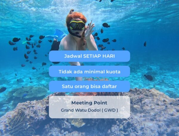 Open Trip Pulau Menjangan & Tabuhan - Image 2