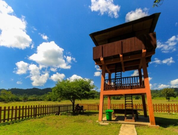 One Day Trip Taman Nasional Alas Purwo - Image 5