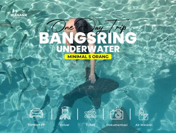 One Day Trip Bangsring Underwater