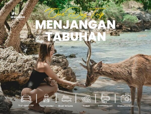 One Day Trip Pulau Menjangan & Tabuhan